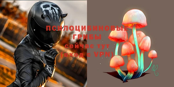 шишки Горняк