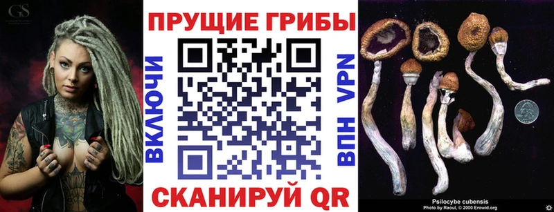 блэк спрут tor Томмот Галлюциногенные грибы MAGIC MUSHROOMS